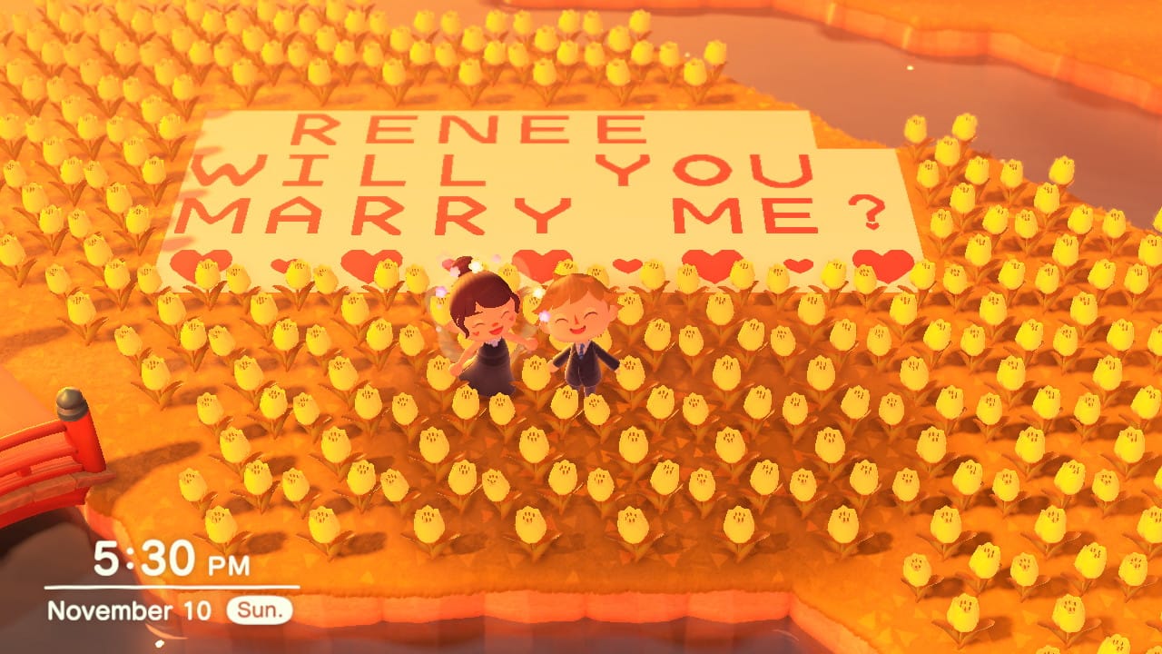 Animal Crossing proposal — Renee will you marry me?
